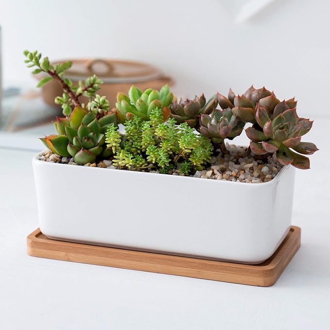 yarlung 10 Pack Small Bamboo Saucers, 7 Inch Plant Saucers Rectangular Flower Pot Drainage Trays for Succulent, Cactus, Small Indoor Plants