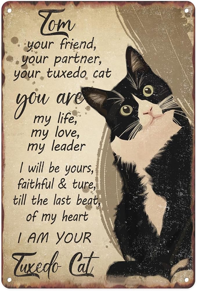 Black Cat Metal Sign I Am Your Friend Your Partner Your Cat You Are My Life Tin Sign For Home Office Living Room Bar Cafe Club Wall Decor Hanging Painting 12 X 8 Inch by SanwarmHomeDecor