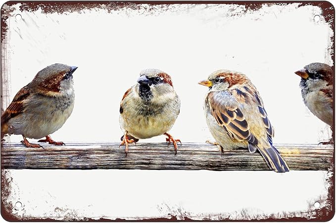 Sparrow Perch Birds On A Wire Tin Sign Retro Poster Bird Vintage Room Decor Iron Painting Metal Signs For Farmhouse Kitchen Decor Bathroom Man Cave Decor Cafe Garage Coffe Bar Wall Decor 16x12 Inch by Unknown