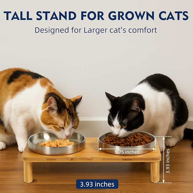 Elevated Cat Bowls for Indoor Cats – Raised Bamboo Cat Food Table with 2 Stainless Steel Dishes, Adjustable Height (4.25"/3.07"), Whisker Friendly Feeding Station