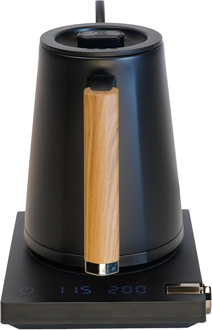 Turin Electric Pour Over Kettle | 600ml Stainless Steel Gooseneck Kettle with Precise Temperature Control, Rapid Heating, and Ergonomic Handle