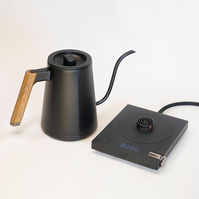 Turin Electric Pour Over Kettle | 600ml Stainless Steel Gooseneck Kettle with Precise Temperature Control, Rapid Heating, and Ergonomic Handle