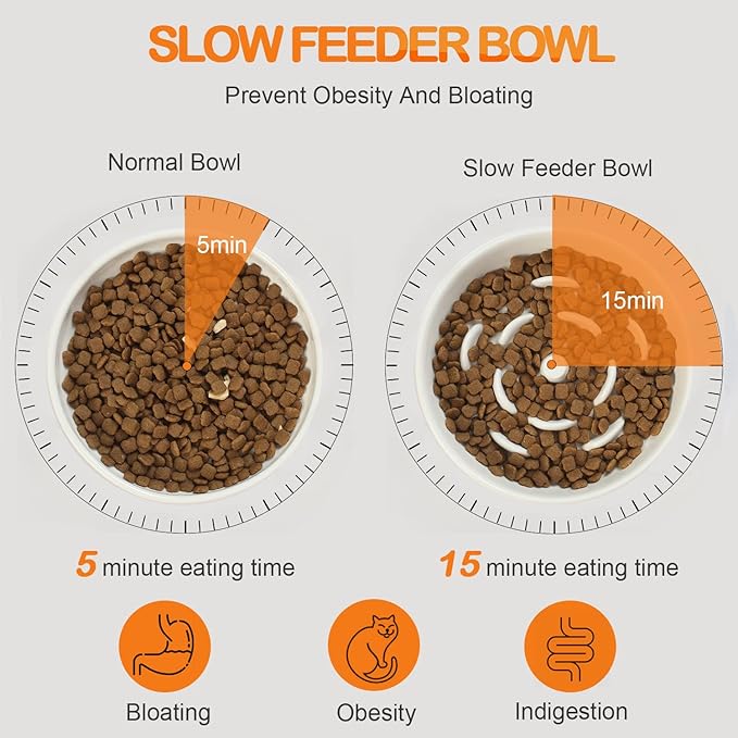 Raised Slow Feeder Cat Bowl, 5.9 Inch Wide Shallow Ceramic Elevated Glass Food Bowl Puzzle Feeders, Anti Vomit Cat Dish, Whisker Friendly Pet Plates Feeding Station for Cats(2 Slow Feeder)