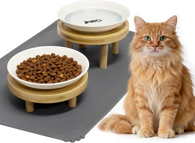 Upgraded Elevated Cat Bowls with Food Mat, Raised Ceramic Cat Dishes with Bamboo Stand, Shallow Wide Pet Feeding Bowls Whisker-Friendly for Food and Water, (Ceramic,Set of 2)