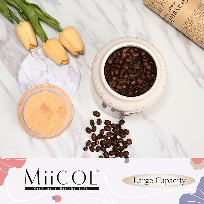 Miicol Ceramic Storage Canister with Airtight Lid, Food Storage Container, Round Coffee Canister, Pantry Organizer, Kitchen Storage Jar for Coffee Bean, Flour, Pasta, Sugar, Spices, Tea, 20 fl.oz‌