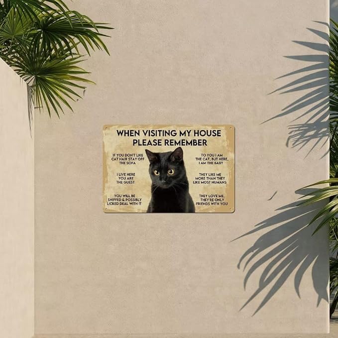 Vintage Metal Cat Sign - Black Cat Apartment Decor, 8"X12" Funny Poster - Image 6