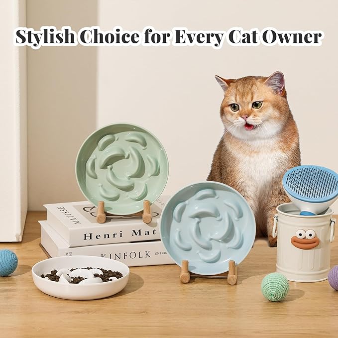 Melamine Cat Slow Feeder Bowl - Pastel Series Cat Plate for Dry and Wet Food - Cute Maze Feeder Dish for Healthy Eating - Dishwasher Safe - 6.3''W x 1.2''H - 7 OZ - Mint Green