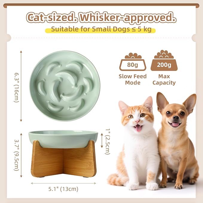 Elevated Slow Feeder Cat Bowl - Melamine Cat Food Plate with Anti-Slip Bamboo Stand - Whisker Friendly Feeding Bowl - Raised Maze Dish for Slow Eating - Mint Green