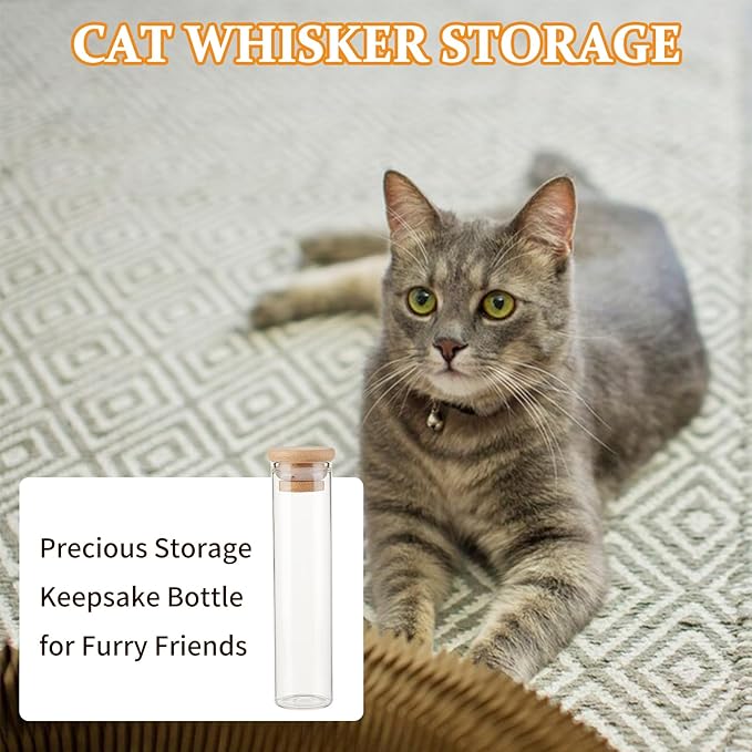NICENEEDED Cat Whisker Jar, Cat Whisker Collector Transparent Glass Cat Whisker Vase, Cat Whisker Hair Collector Pet Keepsake Box Loss of Cat Sympathy