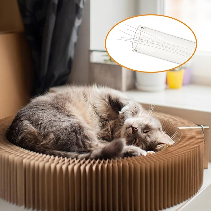 NICENEEDED Cat Whisker Jar, Cat Whisker Collector Transparent Glass Cat Whisker Vase, Cat Whisker Hair Collector Pet Keepsake Box Loss of Cat Sympathy