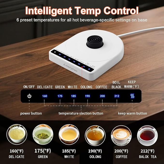 Ultrathin Food Grade Silicone Travel Foldable Electric Kettle Variable Temperature Control with Dual Voltage, Auto Shutoff & Boil Dry Protection & Keep Warm, 555ML 110-220V US Plug (Blue)