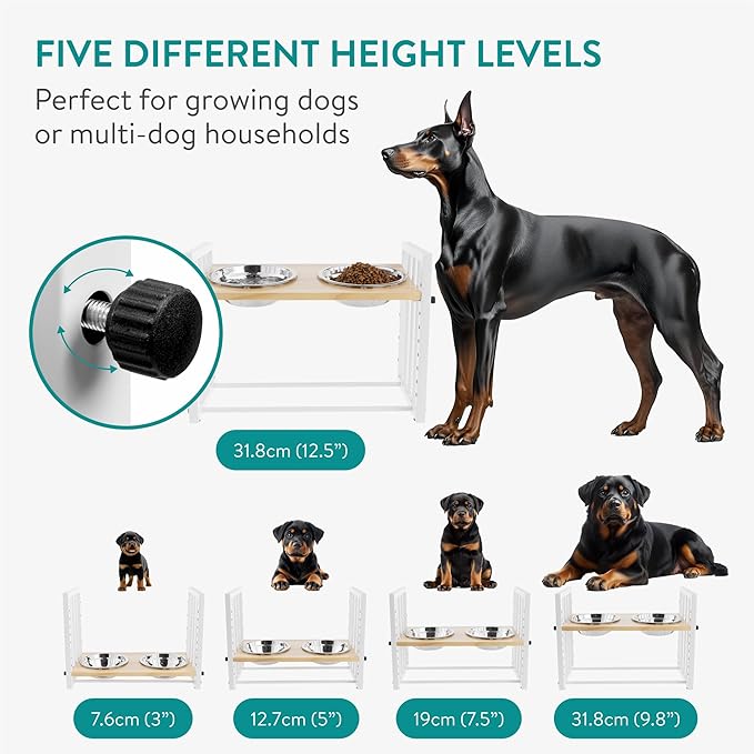 Navaris Double Elevated Cat Bowls - Raised Cat Bowl Set with Bamboo Stand for Indoor Cats and Small Dogs - Stainless Steel Pet Food and Water Dishes (Style 2)