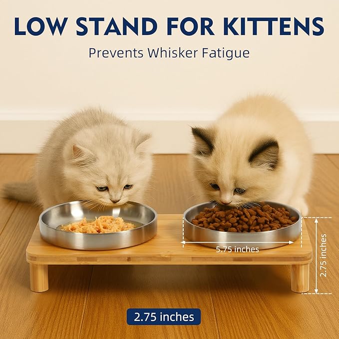Elevated Cat Bowls for Indoor Cats – Raised Bamboo Cat Food Table with 2 Stainless Steel Dishes, Adjustable Height (4.25"/3.07"), Whisker Friendly Feeding Station