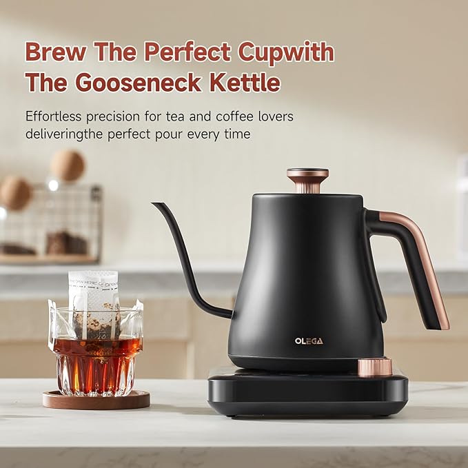 OLEGA Gooseneck Electric Kettle: 1000W Electric Kettles with Temperature Control 0.8L Stainless Steel Electric Tea Kettle Gooseneck Kettle for Coffee Tea Keep Warm (Black)