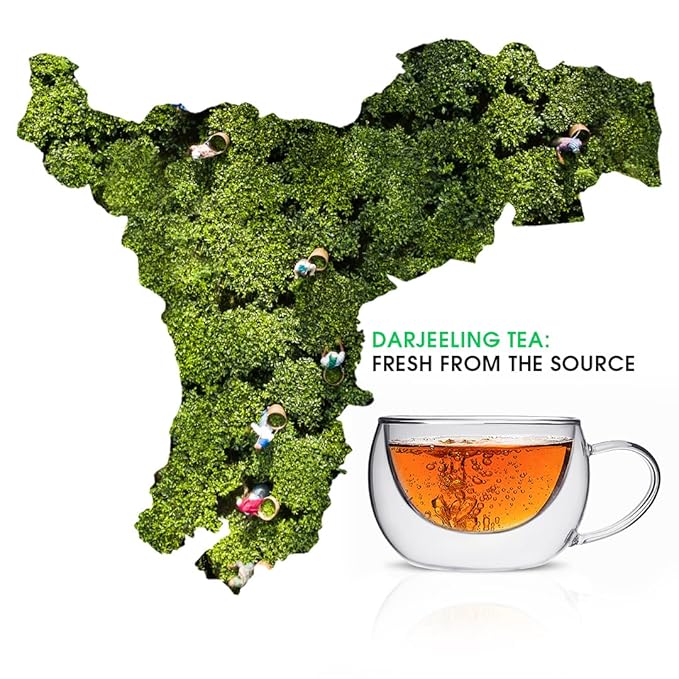 Teabox Premium Darjeeling Green Tea Sampler Bags 100pcs (10pcs X 10 Herbal flavors) | 100% Natural & 0% Bitterness | Sourced Directly From The Himalayas