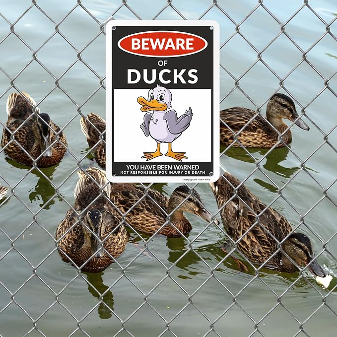 SmartSign Funny Beware Of Ducks Warning Sign - 10"x7", 40 mil Laminated Rust-free Aluminum - Metal Signs for Wall Decor, Outdoors, Patio, Gifts, Cafe - Ducks Theme, Made in USA - Image 3