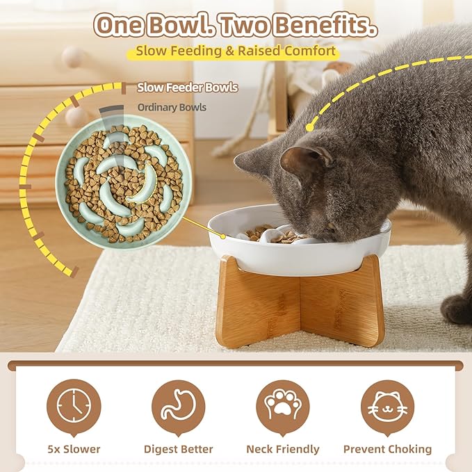Slow Feeder Cat Bowl Set - White Melamine Maze Dish in 2 Styles (Single Bowl & with Bamboo Stand) - Whisker-Friendly, Shallow, Elevated Combo