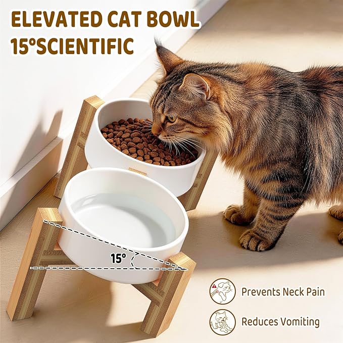 Bamboo Elevated Cat Bowls, 2 Ceramic Raised Cat Food and Water Bowls for Cats and Puppy, 15 Tilted Stand Anti Vomitting, Whisker Fatigue, Dishwasher Safe