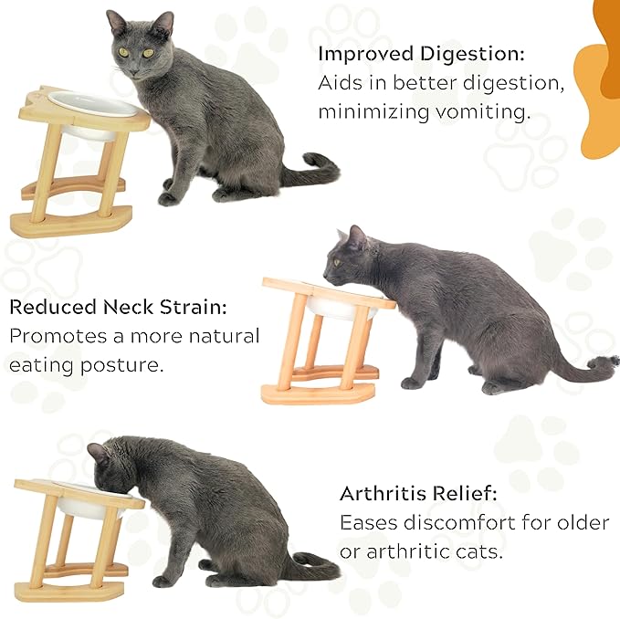 Rênasci® Elevated Ceramic Cat Food Dish Bowl, Adjustable Height, Raised Eco-Bamboo Wood Rack, Sturdy Pet Feeder, Tilted Angle for Cats