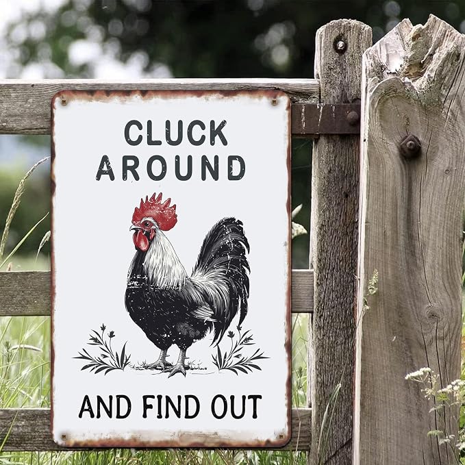 Sanwarm Funny Chicken Gifts Metal Sign Chickens Cluck Around and Find Out Tin Signs For Home Farm Chicken Coop Farmhouse Kitchen Garden Wall Decor Grey Poster Vintage Hanging Painting 12 X 8 Inch - Image 5