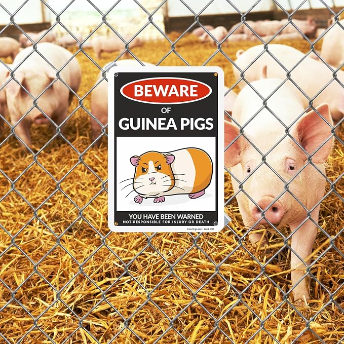 SmartSign Funny Beware Of Guinea Pigs Warning Sign - 10"x7", 40 mil Laminated Rust-free Aluminum - Metal Signs for Wall Decor, Outdoors, Patio, Cafe - Guinea Pigs Theme Gag Gift, Made in USA - Image 3
