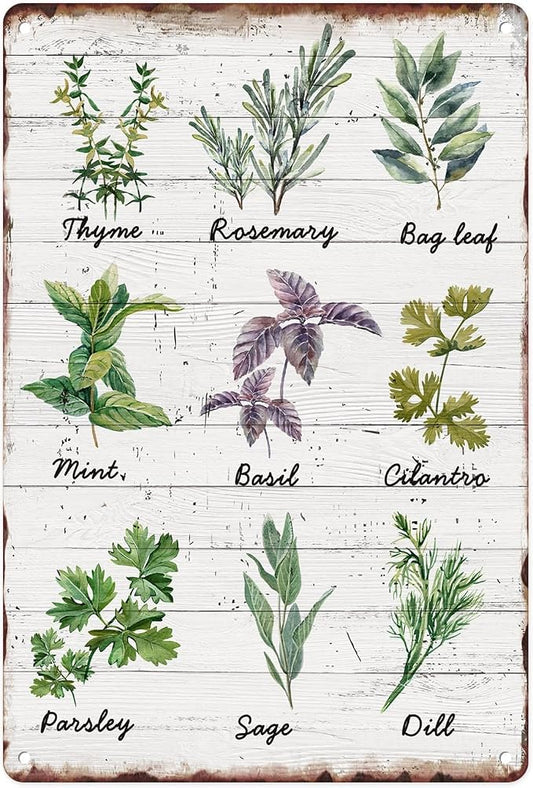 Sanwarm Metal Sign 8X12 Inch, Herbs Sage Green Mint Green Vintage Tin Sign Wall Art Decor for Home, Living Room, Kitchen, Garden, Bedroom, Office, Hotel, Cafe And Pub Decoration by SanwarmHomeDecor