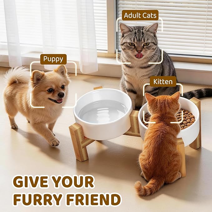 Bamboo Elevated Cat Bowls, 2 Ceramic Raised Cat Food and Water Bowls for Cats and Puppy, 15 Tilted Stand Anti Vomitting, Whisker Fatigue, Dishwasher Safe