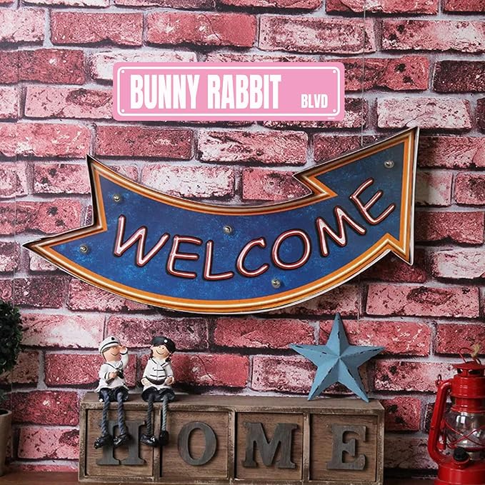 Bunny Rabbit Sign Metal Signs Street Road Sign Funny Cafes Bar Pub Beer Club Wall Home Decor 16X4 Inches - Image 7