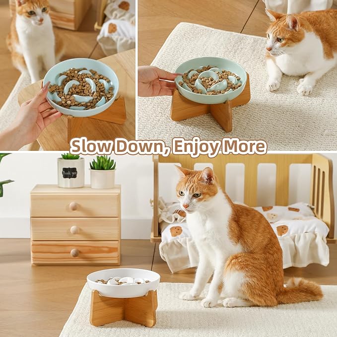 Elevated Slow Feeder Cat Bowl - Melamine Cat Food Plate with Anti-Slip Bamboo Stand - Whisker Friendly Feeding Bowl - Raised Maze Dish for Slow Eating - Mint Green