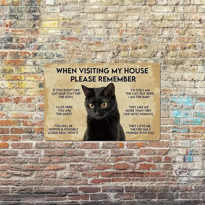 Vintage Metal Cat Sign - Black Cat Apartment Decor, 8"X12" Funny Poster - Image 5
