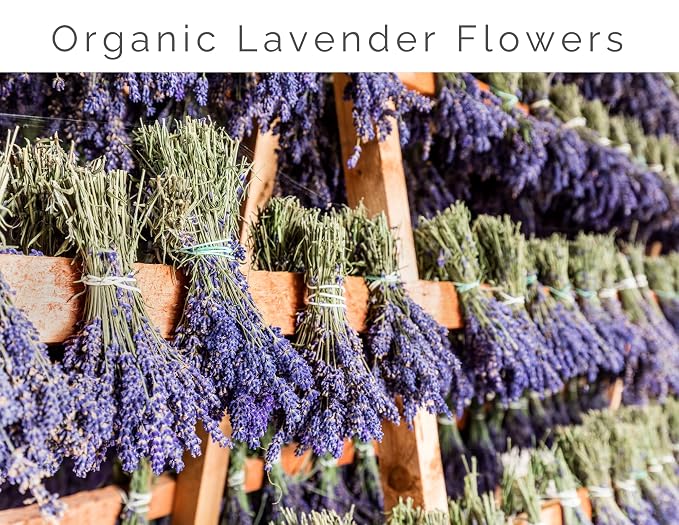 Lavender Lane Lavender Syrup - 25.4 Oz, Pump Included, USA Lavender Farm, Organic Lavender Flowers, For Cocktails, Teas, Lemonade, Desserts. - Image 7