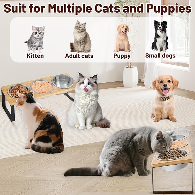 Elevated Cat Bowl, Raised Cat Food Bowls with 10° Tilted Stands, 3 Stainless Steel Bowls for Wet, Dry & Water, Hold by Bamboo Board, Anti Vomiting Cat Feeding Bowls with 4 Non-Slip Pads