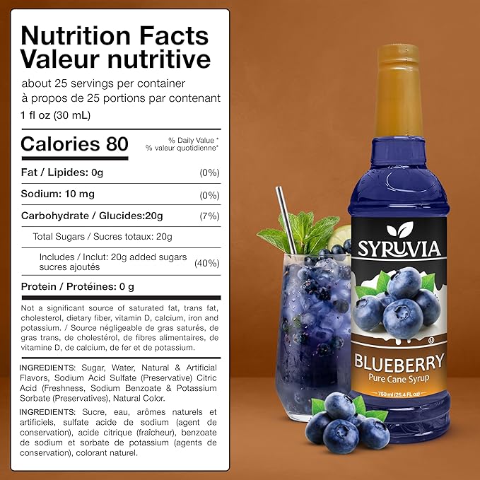 Syruvia Blueberry Syrup For Drinks 25.4 Ounces Blueberry Flavoring Syrup With Pump