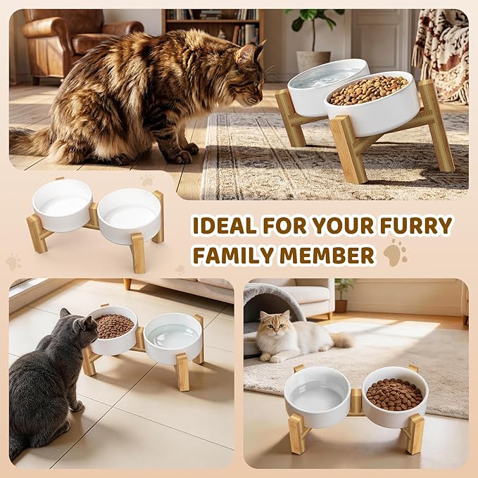 Bamboo Elevated Cat Bowls, 2 Ceramic Raised Cat Food and Water Bowls for Cats and Puppy, 15 Tilted Stand Anti Vomitting, Whisker Fatigue, Dishwasher Safe