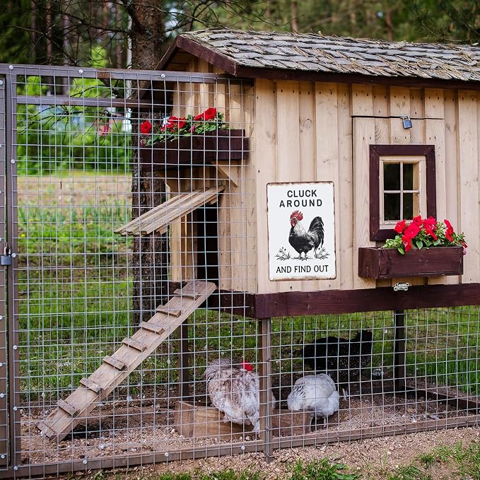 Sanwarm Funny Chicken Gifts Metal Sign Chickens Cluck Around and Find Out Tin Signs For Home Farm Chicken Coop Farmhouse Kitchen Garden Wall Decor Grey Poster Vintage Hanging Painting 12 X 8 Inch - Image 2