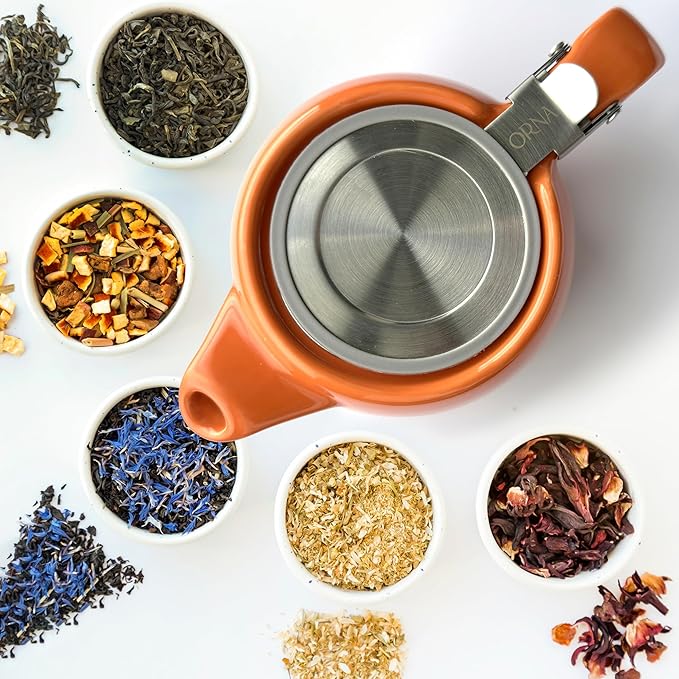 ORNA Ceramic Teapot with Tea Infuser – Small Tea Pot for Loose Leaf Tea – 550ml / 18.6 Oz Porcelain Non-Stove Teapot for 2 Cups with Tea Strainer (Orange)