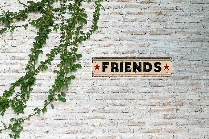 Vintage Tin Sign Retro Metal Friends Signs For Home Decor Stylish Wall Art Plaques Gift For Home Bathroom Kitchen And Gothic Wall Decor In Every Room 4x16 In