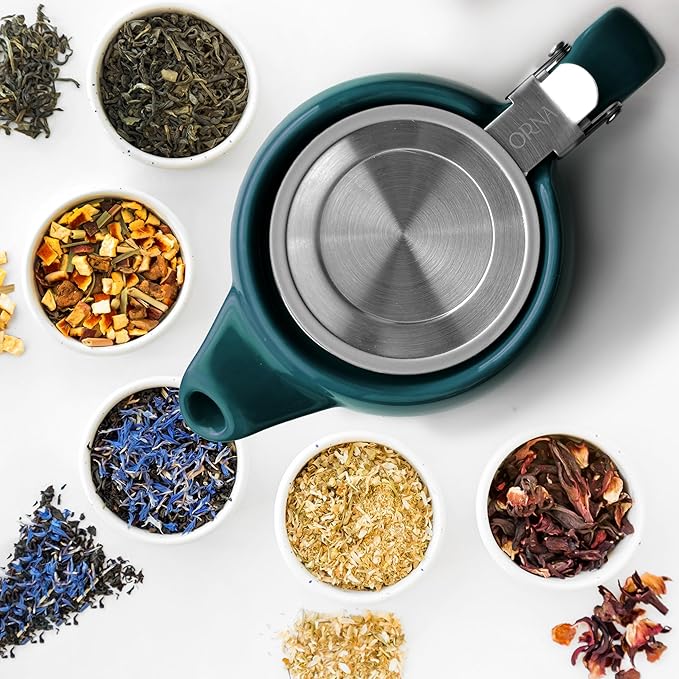 ORNA Ceramic Teapot with Tea Infuser – Small Tea Pot for Loose Leaf Tea – 550ml / 18.6 Oz Porcelain Non-Stove Teapot for 2 Cups with Tea Strainer (Ocean)